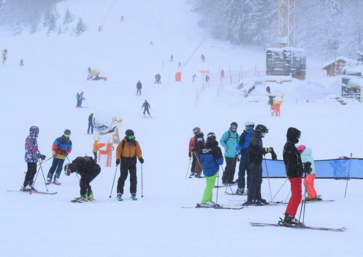 Place Royale Pour 10 A 12 Personnes A 30 Met Des Pistes De Ski Et Vtt Métabief Екстериор снимка