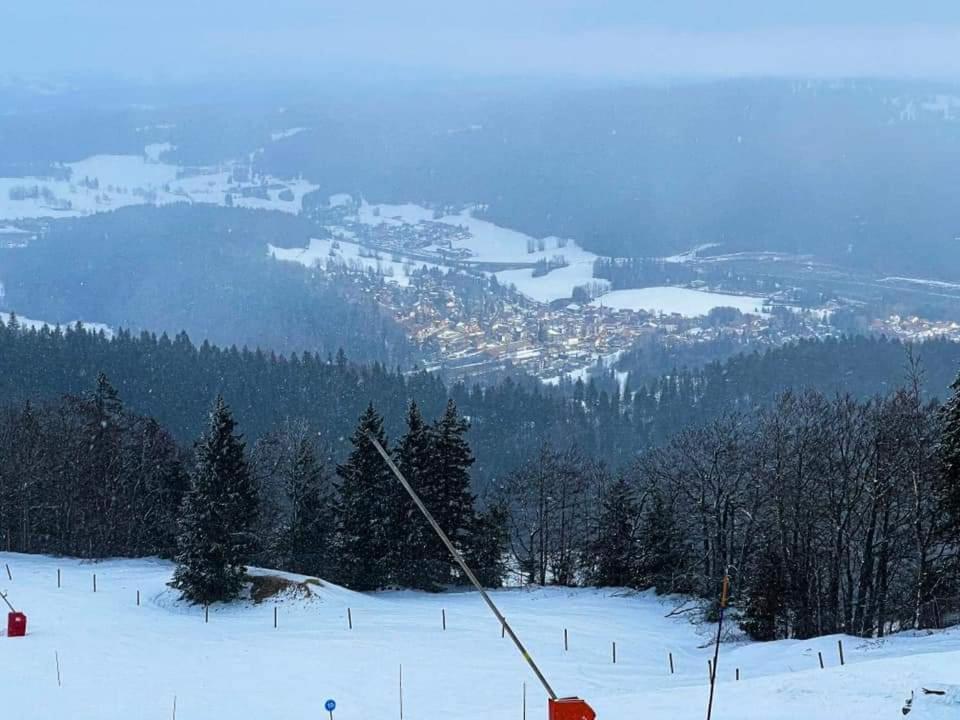 Place Royale Pour 10 A 12 Personnes A 30 Met Des Pistes De Ski Et Vtt Métabief Екстериор снимка
