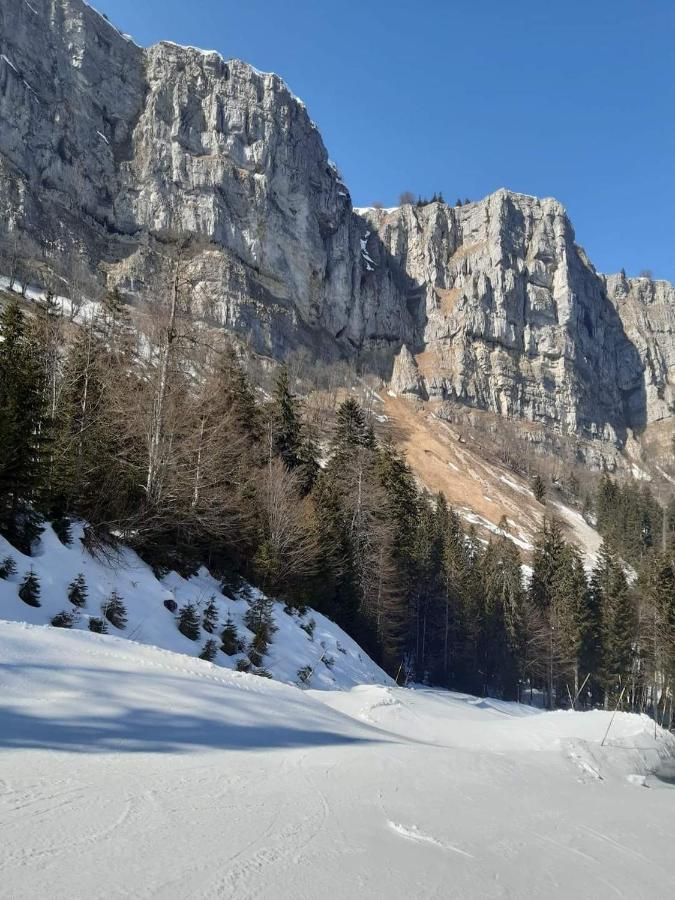 Place Royale Pour 10 A 12 Personnes A 30 Met Des Pistes De Ski Et Vtt Métabief Екстериор снимка