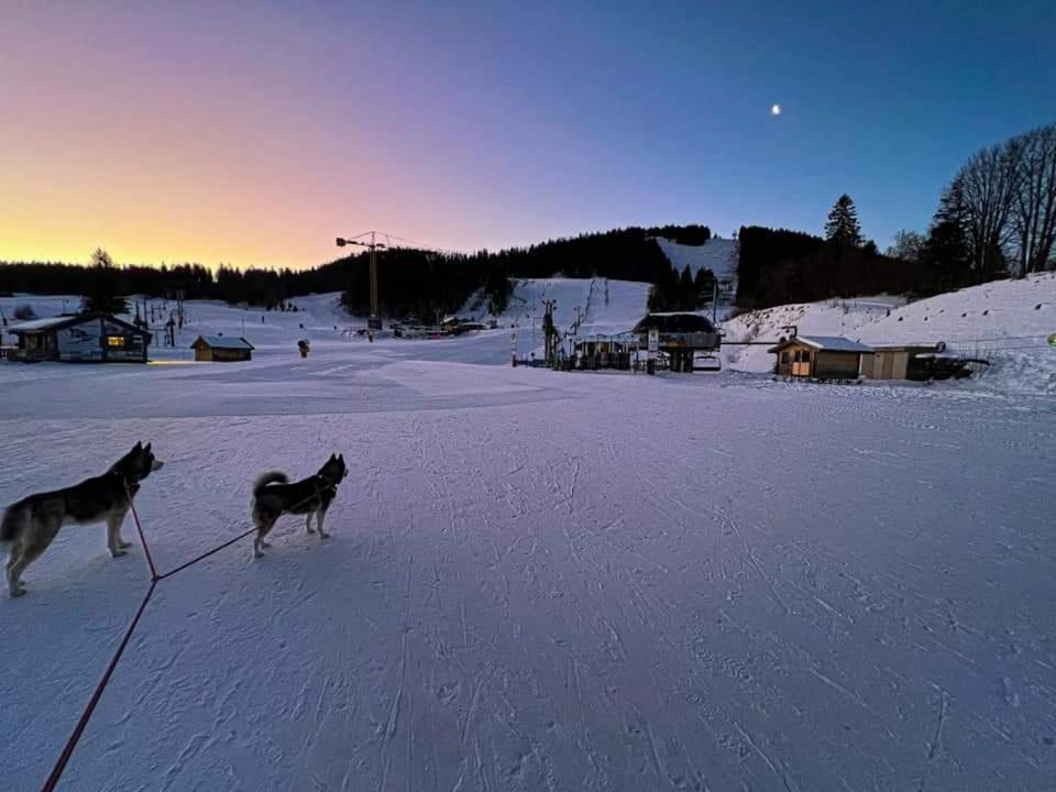 Place Royale Pour 10 A 12 Personnes A 30 Met Des Pistes De Ski Et Vtt Métabief Екстериор снимка