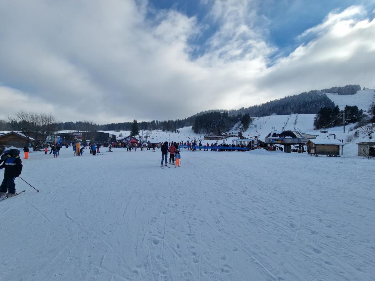 Place Royale Pour 10 A 12 Personnes A 30 Met Des Pistes De Ski Et Vtt Métabief Екстериор снимка